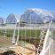 Cheap greenhouse kenya market
