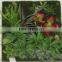 SJ0409032 Artificial wall plant indoor plastic green wall