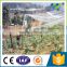 Virgin HDPE material larger fruit tree use complete overhead anti bird netting with UV protection