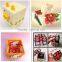 2017 new type new kids toys for 2015 for promotion