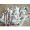 Foam Swabs
