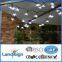 solar light factory landsign plastic 10*white LED led decorative flower lights