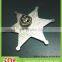 Low price customized star shape pin badge