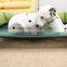 HQP-JJ03 HongQiang Manufacturer Raised Outdoor Stainless Steel Pet Dog Elevated Bed Waterproof Outdoor Dog Bed