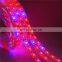 Full spectrum plant Grow LED Strip Light 5M 5050 LED Flower Plant  Growth lamps For Greenhouse Hydroponic Plant Growing