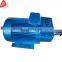 Large Overload Capacity Three-phase Asynchronous Motor