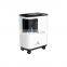 Intelligent Voice Neonatal 3l Portable Oxygen Concentrator Compressor