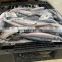 Frozen Pacific mackerel block cuts fish cuts fillet