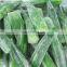IQF Wholesale Okra Frozen Okra IQF New Crop Top Quality Okra