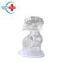 HC-S171 Infant care training model Advanced children nasal feeding and gastric lavage model (transparent type)