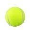 Custom and Personalized Printed Tennis Balls
