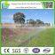 50x50mm opening galvanised chain wire as domestic fencing for AU market