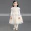 Wholesale best-selling short sleeve embroidery fur winter fashion party dress for kids