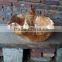 Old Teak Carving Wood Crafts Pots Placed Large Pieces of Fruit Bowl Dish Fruit Basket