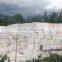 High supply ability new design wholesale wooden marble block