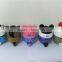 12 chinese zodiac candy jar animal candy box