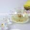 Promotional Gift Eco-friendly High Quality Clear Pyrex/Borosilicate Glass Tea Pot Set Hot Sale With Glass Infuser