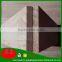 cheap price paulownia wood fortune paulownia wood