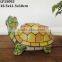 Transparent the tortoise for sale decoration