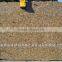Brazil Polished Yellow Giallo Fiorito Granite Tiles