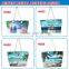 Newest wholesale fashion lady travel bag custom summer beach bag blue sky luggage travel bags