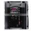 8 inch bluetooth speaker professional with wireless microphone and remote control DP-08