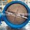 Dual plate Check Valve