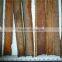 Single Herbs Spice Split Cassia