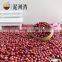 Adzuki bean 4.5-6.0mm small red bean professional manufacture