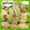Hot sales shine skin pumpkin kernel from Golden supplier