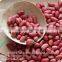 Chinese HACCP Certification long type blanched red skin peanut kernels