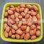 BEST QUALITY RED BOLD GROUNDNUT KERNEL