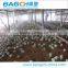 Broiler Sheds Design for Poultry Farm Equipment