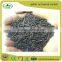 Water Filter coconut shell activated carbon/activated