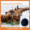 seaweed extract with npk fertilizer 100% soluble in water seaweed fertilizer powder