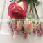 Fresh Cut Red Rose Pink Rose White Rose Blue Rose