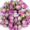 Flower Tea Rose France Rose Bud Tea