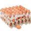 High quality automatic Paper Egg tray making machine