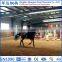 Prefabricated Riding Arena Steel Structure for Sale