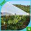 clear plastic tarpaulin/anti sunshine anti rain/fruit tree protection cover