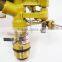 Metal Sprinkler with Telescopic Aluminum Tripod