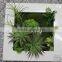 Indoor and Outdoor artificial succulent plants wall new item indoor plant wall