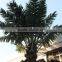 GNW APM014 imitative artificial plastic leaves palm tree for outdoor landscape decoration