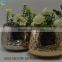 outdoor wedding decorations glass vases wholesale