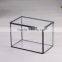 Garden Decoration Geometric Glass Terrarium / Cube / Handmade Glass Plant Flower Pot for Indoor Garden