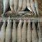 New Arrival Seafood Frozen Fish Pacific Mackerel Prices