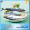 Frozen Live Fish Horse Mackerel