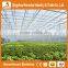 Heracles Trade Assurance low cost agricultural tunnel greenhouses