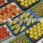 China Supply Cheap Food Grade Fruit Use and Tray Type Wholesale Plastic Serving Trays