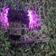LED solar string light, LED holiday string light/ festival light/decorative light, wedding /party / decorative light